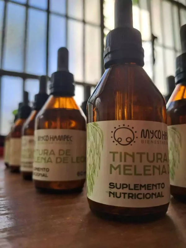 TINTURA DE ADAPTOGENOS MELENA DE LEON DOBLE EXTRACTO X60ML - MYCO HAMP
