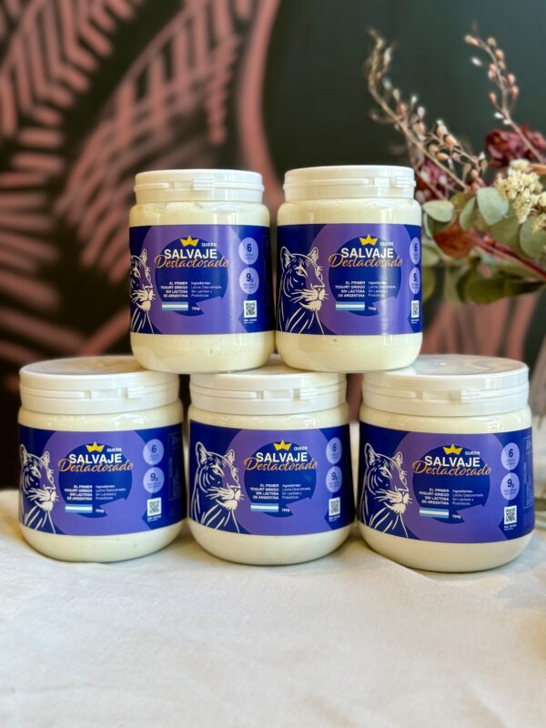 DESLACTOSADO GREEK YOGURT FILTRADO 6 HS X480GR - SALVAJE