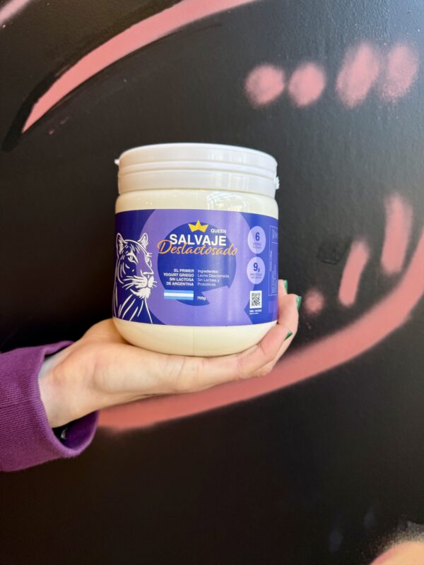 DESLACTOSADO GREEK YOGURT FILTRADO 6 HS X480GR - SALVAJE - Imagen 3